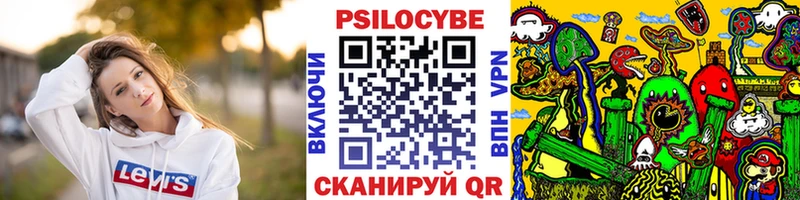 купить  цена  Жигулёвск  omg маркетплейс  Галлюциногенные грибы Psilocybe 
